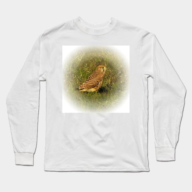 Kestrel Long Sleeve T-Shirt by Guardi